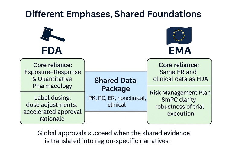 Global regulatory glue: Modules 3–5 feed Module 2, which translates a shared evidence base to both FDA and EMA with region-specific emphases
