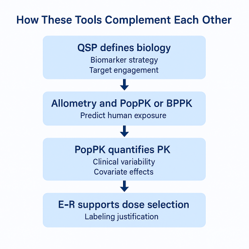 Flow diagram showing how QSP, allometry with PopPK or PBPK, PopPK, and E R complement each other.