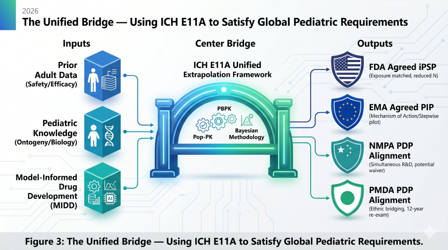 The Unified ICH E11A Bridge