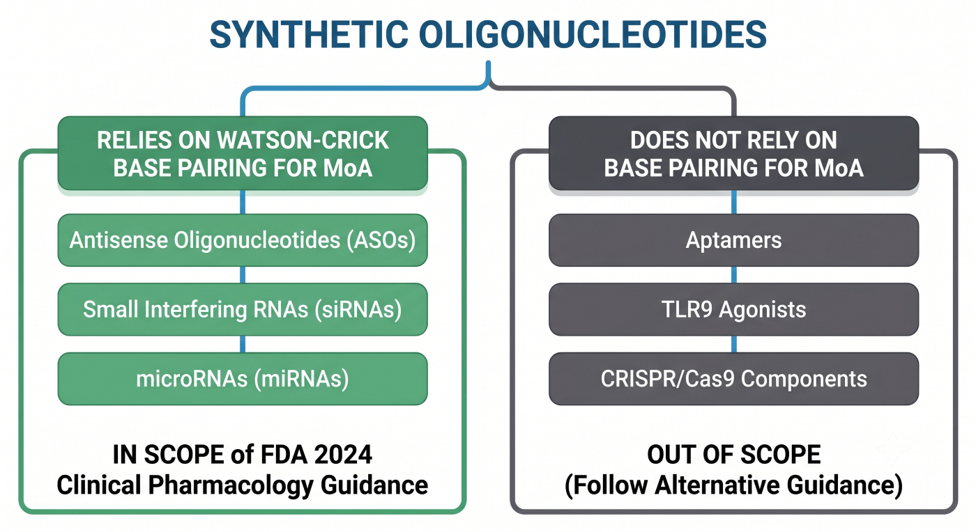 Flowchart diagram detailing the FDA 2024 clinical pharmacology guidance scope, categorizing Watson-Crick base pairing modalities like ASOs and siRNAs versus out-of-scope aptamers and CRISPR.
