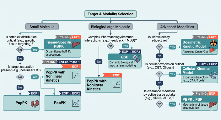 Executive decision tree flowchart illustrating the selection of PBPK, QSP, PopPK, or Dosimetric/Cellular Kinetics modeling tools based on drug modality and development stage.
