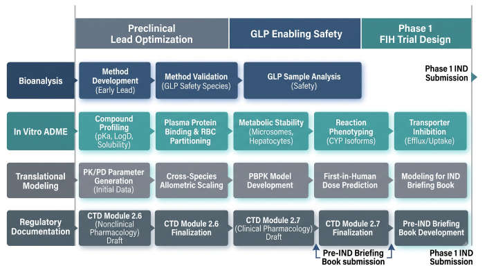 Strategic execution timeline Gantt chart detailing the integrated Clinical Pharmacology Plan workflow from preclinical lead optimization through GLP safety to Phase 1 IND submission.