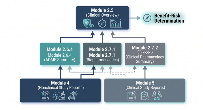 CTD Dossier Architecture schematic showing how nonclinical ADME and clinical pharmacology study reports feed into Module 2.6.4, Module 2.7.1, Module 2.7.2, and Module 2.5.