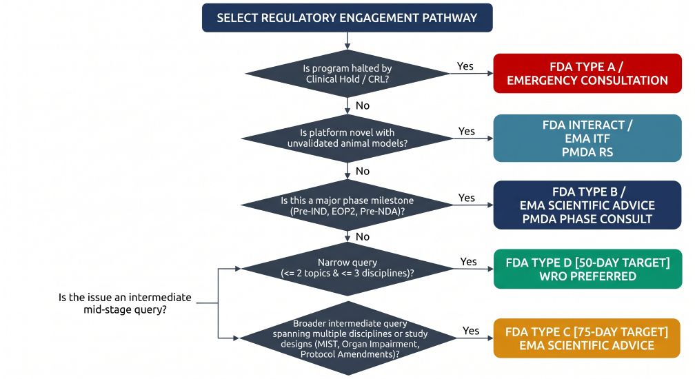 Executive Decision Tree flowchart guiding biotech leadership through selecting the optimal regulatory meeting format, branching into Type D for narrow topics and Type C for broader mid-stage queries.